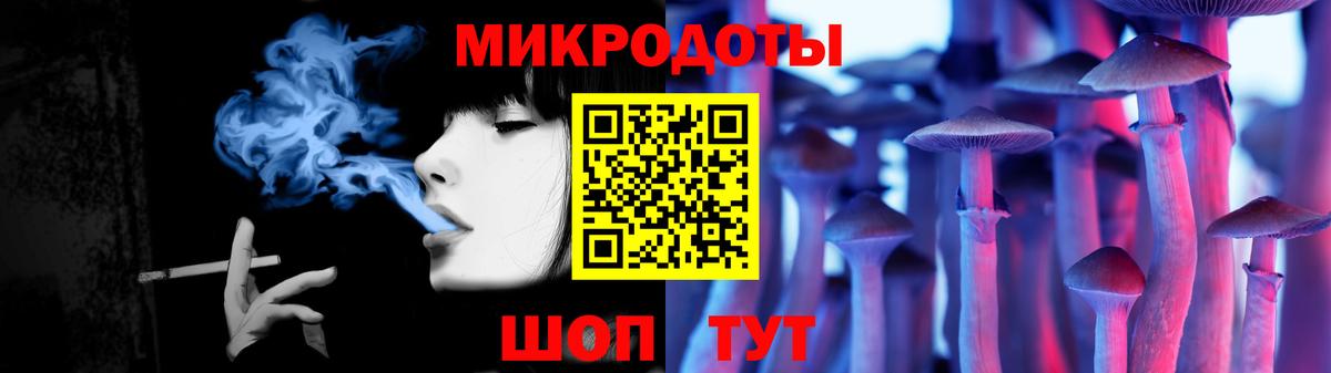 Галлюциногенные грибы Psilocybe Вятские Поляны